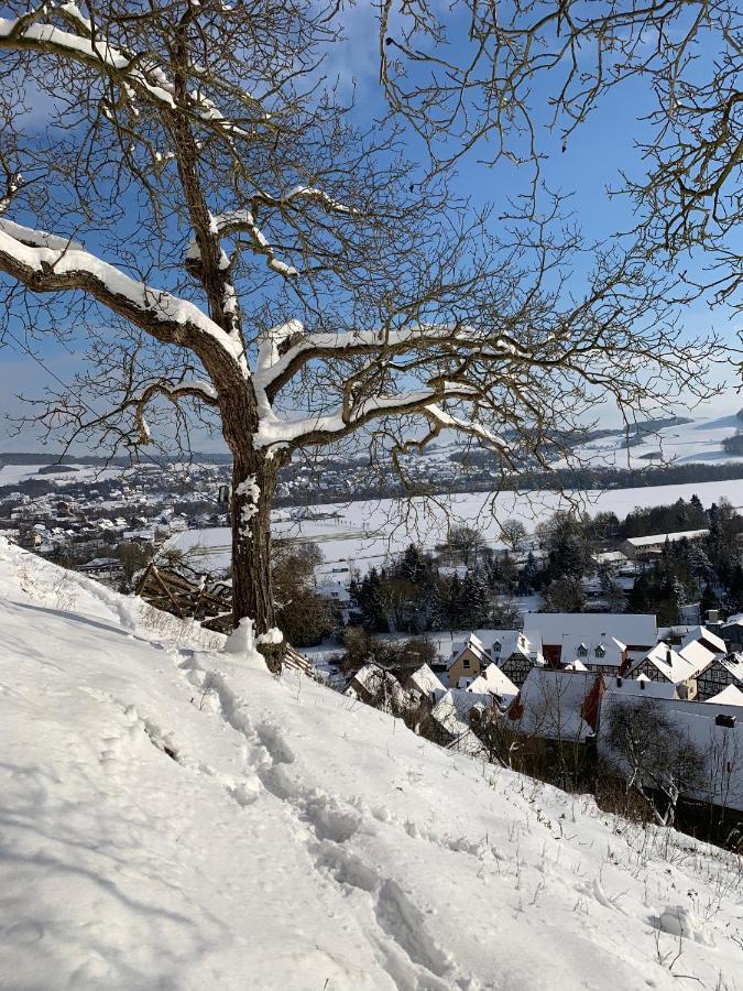 Wohlfuehl Appartments Felsberg ภายนอก รูปภาพ